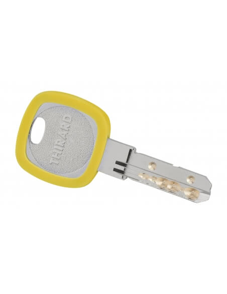 Vista aggiuntiva 2 di Anello portachiavi Ø 30 mm, colori assortiti – THIRARD