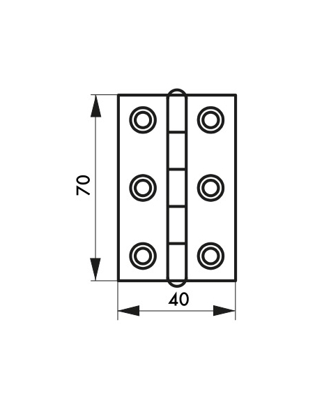 Cerniera per porte, 70x40mm, acciaio inossidabile 309 - THIRARD