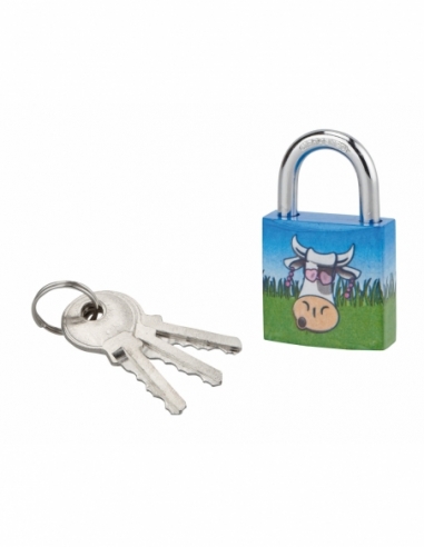 Lucchetto Mucca 5, acciaio, interno, arco in acciaio, 30 mm, 3 chiavi – THIRARD