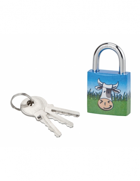 Lucchetto Mucca 7, acciaio, interno, arco in acciaio, 30 mm, 3 chiavi – THIRARD