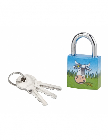 Lucchetto Mucca 8, acciaio, interno, arco in acciaio, 30 mm, 3 chiavi – THIRARD
