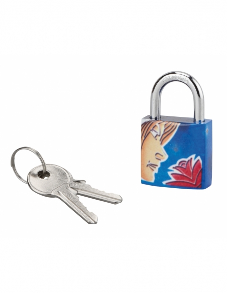 Lucchetto con chiave, acciaio, interno, arco in acciaio, 30 mm, 3 chiavi – THIRARD