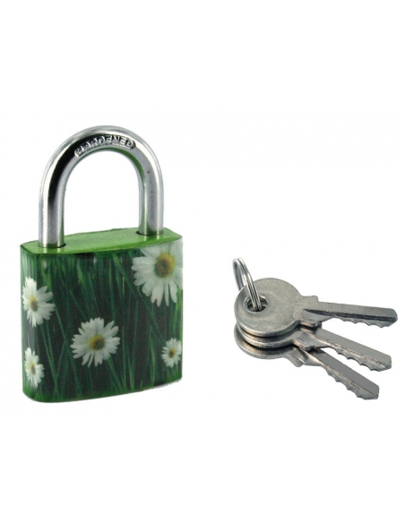 Lucchetto Green Idea Margherite, acciaio, interno, arco in acciaio, 30 mm, 2 chiavi – THIRARD