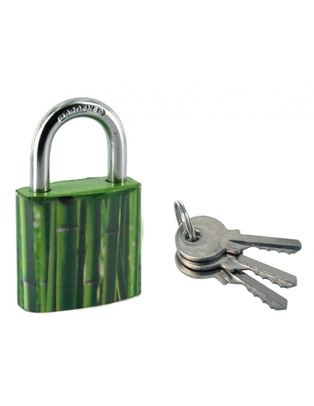 Lucchetto Green Idea Bamboo, acciaio, interno, arco in acciaio, 30 mm, 2 chiavi – THIRARD