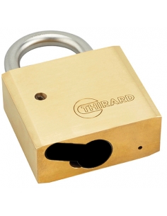 Lucchetto con arco in acciaio inox per cilindro europeo, cilindro escluso – THIRARD