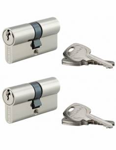 Set di 2 cilindri europei STD 30 x 30 mm a chiave uguale, nichelati, 6 chiavi – THIRARD