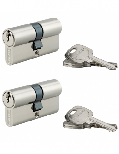 Set di 2 cilindri europei STD 30 x 30 mm a chiave uguale, nichelati, 6 chiavi – THIRARD