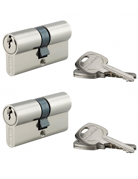 Set di 2 cilindri europei STD 30 x 30 mm a chiave uguale, nichelati, 6 chiavi – THIRARD