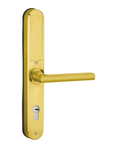 Coppia di maniglie smart INTELOCK Multi per porta d’ingresso, interasse 72 mm, dorata