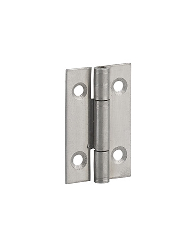 Cerniera per porta 30 x 19 mm, acciaio – THIRARD