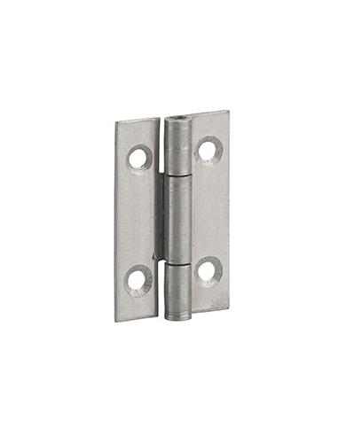 Cerniera per porte, 30x19mm, acciaio