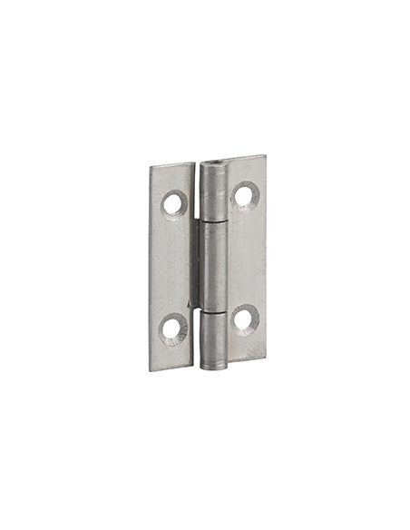 Cerniera per porta 30 x 19 mm, acciaio – THIRARD