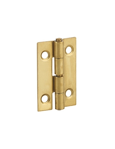 Cerniera per porte, 30x19mm, ottone