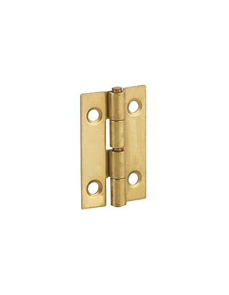 Cerniera per porte, 30x19mm, ottone