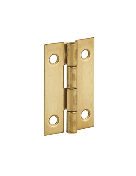 Cerniera per porta 40 x 25 mm, ottone – THIRARD