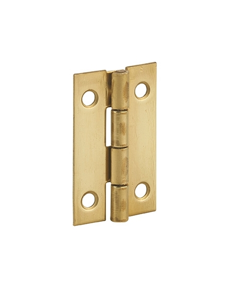 Cerniera per porte, 40x25mm, ottone