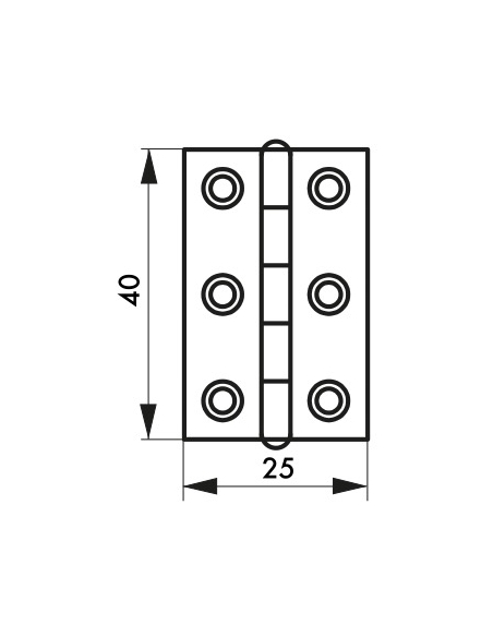 Cerniera per porte, 40x25mm, ottone