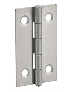 Cerniera per porta 50 x 30 mm, acciaio – THIRARD