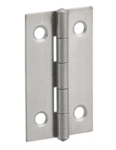 Cerniera per porte, 50x30mm, acciaio