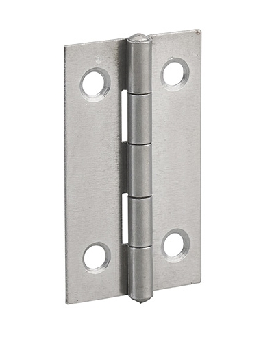 Cerniera per porta 50 x 30 mm, acciaio – THIRARD