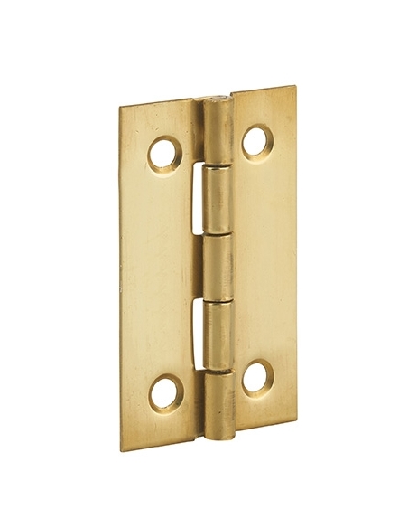 Cerniera per porte, 50x30mm, ottone