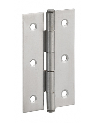 Cerniera per porta 60 x 35 mm, acciaio – THIRARD