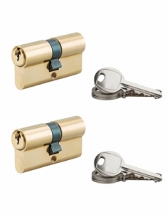 Set di 2 cilindri europei a doppia entrata, 30 x 30 mm, chiave uguale, ottone, 3 chiavi per cilindro – Serrurerie de Picardie