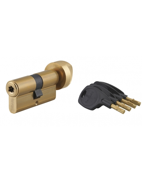 Cilindro SURVEYOR con pomolo 31 x 31 mm, 4 chiavi – THIRARD