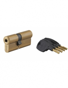 Cilindro europeo SURVEYOR 31 x 41 mm, 4 chiavi – THIRARD