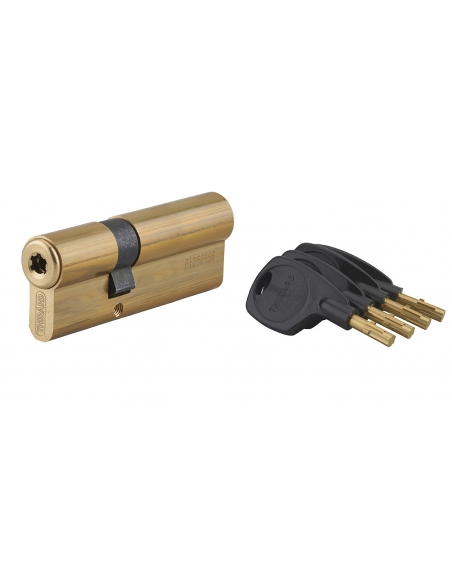 Cilindro europeo SURVEYOR 31 x 61 mm, 4 chiavi – THIRARD