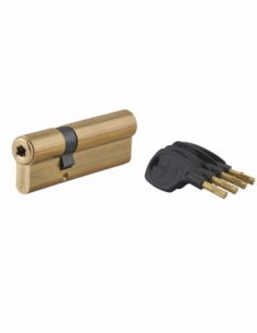 Cilindro europeo SURVEYOR 31 x 66 mm, 4 chiavi – THIRARD