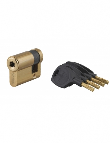 Semicilindro SURVEYOR 31 x 10 mm 4 chiavi – THIRARD
