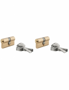 Set di 2 cilindri europei 5G 30 x 30 mm, finitura ottone, 10 chiavi reversibili – THIRARD