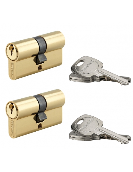 Set di 2 cilindri europei STD 30 x 30 mm a chiave uguale, ottone – THIRARD