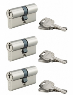 Set di 3 cilindri europei STD 30 x 30 mm a chiave uguale, nichelati – THIRARD