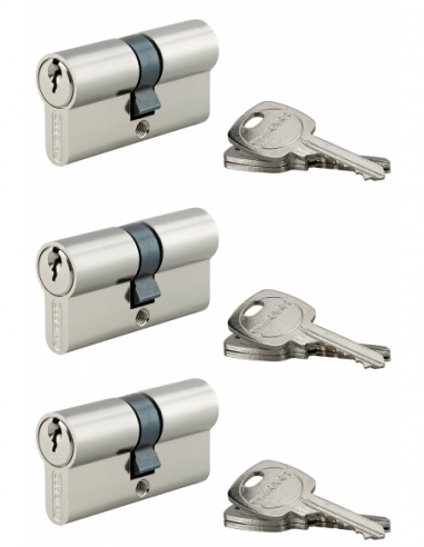 Set di 3 cilindri europei STD 30 x 30 mm a chiave uguale, nichelati – THIRARD