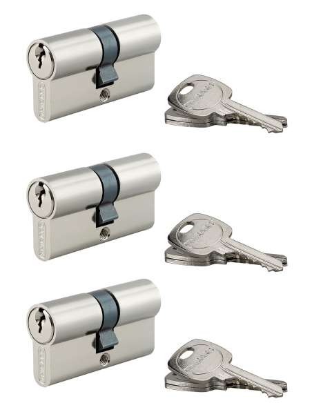 Set di 3 cilindri europei STD 30 x 30 mm a chiave uguale, nichelati – THIRARD