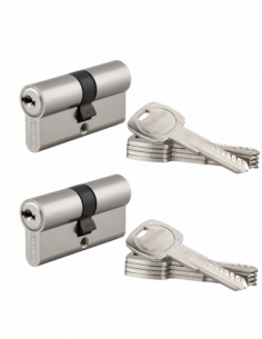 Set di 2 cilindri Trafic 6 30 x 30 mm a chiave uguale, nichelati, 10 chiavi – THIRARD