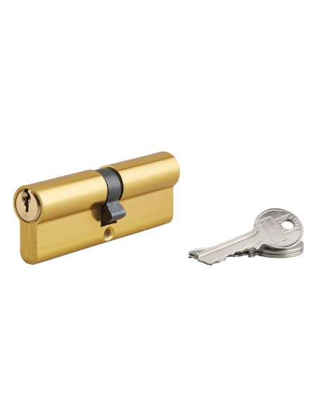 Cilindro europeo TI 45 x 45 mm, 3 chiavi – THIRARD