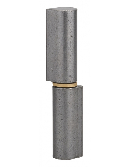 Cerniera a saldare in acciaio ino x 20 x 25 x 120 mm – THIRARD