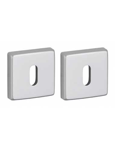 Coppia di rosette quadrate VELES 50 x 50 mm con foro chiave, finitura argento F1 – THIRARD