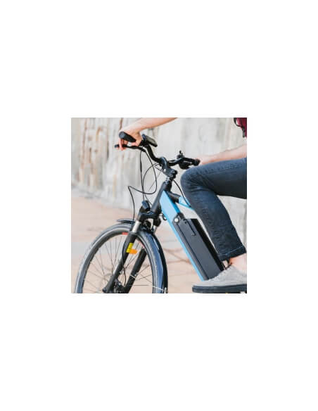 Antifurto Twisty, bicicletta, attrezzi, arredi esterni, cavo d'acciaio guaina in PVC regolabile, Ø 10, 1,80m, 2 chiavi - THIRARD