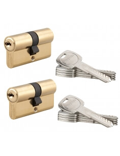 Set di 2 cilindri europei TRAFIC 6 30 x 30 mm a chiave uguale, ottone, 5 chiavi – THIRARD