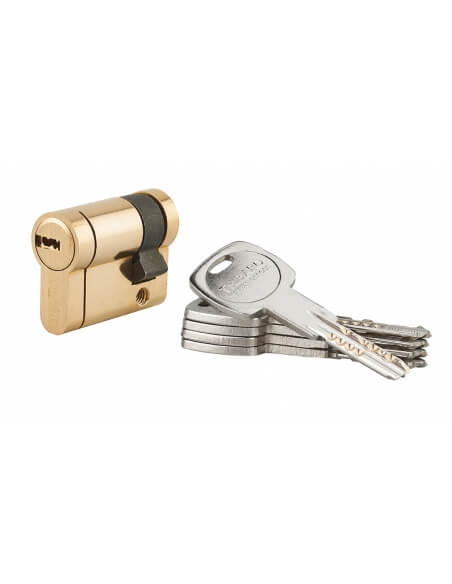 Semicilindro Trafic 12 30 x 10 mm, ottone, anti-perforazione, anti-rottura, 5 chiavi – THIRARD