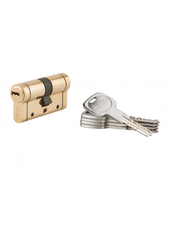 Cilindro europeo Trafic 12 30 x 30 mm, ottone, anti-perforazione, anti-rottura, 5 chiavi – THIRARD