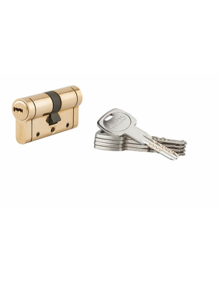 Cilindro europeo Trafic 12 30 x 30 mm, ottone, anti-perforazione, anti-rottura, 5 chiavi – THIRARD