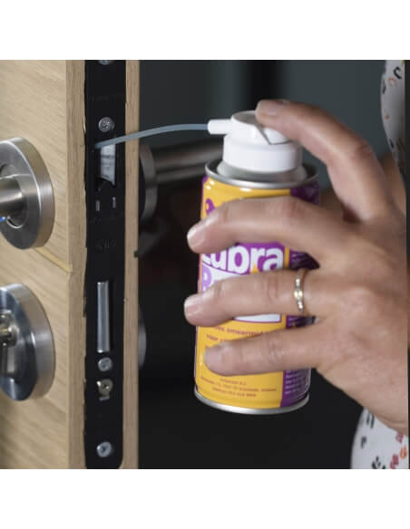 Vista aggiuntiva 2 di Spray lubrificante per cilindri, 150 ml – THIRARD