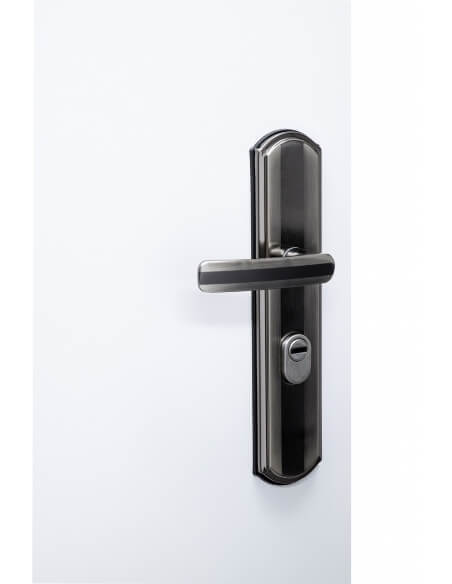 Set maniglia per ingresso, interasse 68 mm, defender integrato, alluminio brunito, sinistro – THIRARD