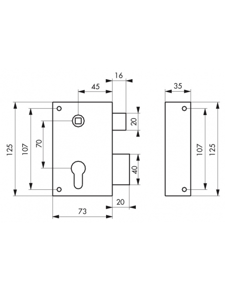 Serratura verticale da applicare doppio cilindro con quadro maniglia per cancello, destra, asse 45mm, 73x125mm, inox - THIRARD