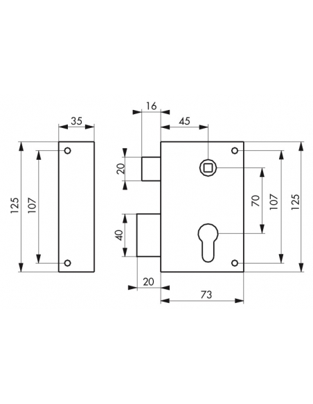 Serratura verticale da applicare doppio cilindro con quadro maniglia per cancello, sinistra, asse 45mm, 73x125mm, inox - THIRARD